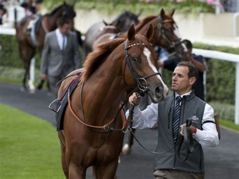 Betting on horses could be introduced in next few years.